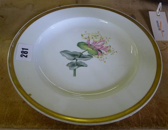 Meissen botanical plate(-)